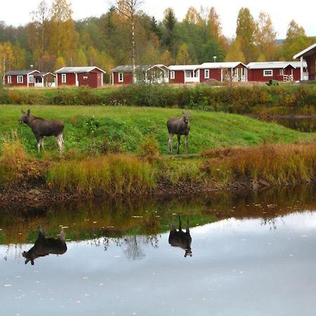 Klaraelvens Camping Stollet Room photo
